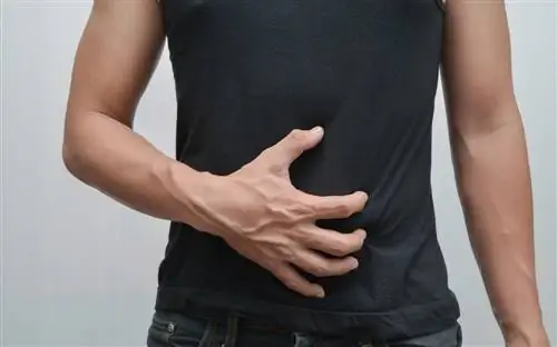 Тренажерный зал дает старт в вашем кишечнике: как повысить свою производительность