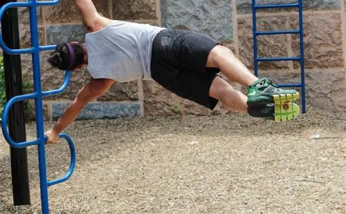 Сила 5-минутных тренировочных закусок