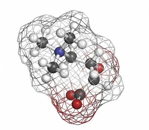 Чем меньше, тем лучше: новые исследования изучают реакцию карнитина на дозу