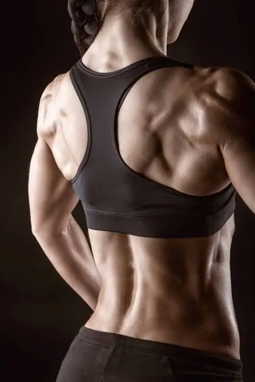 бодибилдинг и тяжелая атлетика, польза бодибилдинга, олимпийская атлетика