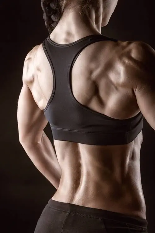 4 причины, по которым бодибилдинг важен для тяжелой атлетики