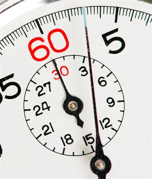 Считаются ли ваши интервалы? Что наука говорит о соотношении работы и отдыха