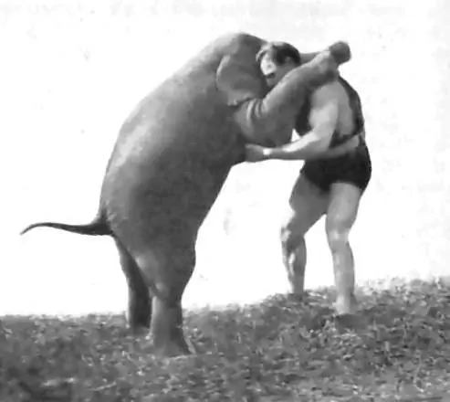 Профиль силача: Герман Гернер учит нас становой тяге (и борьбе со слонами)