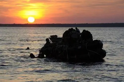 спецподразделения, военная подготовка, принятие решений, морские котики, военная пригодность