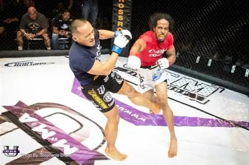 Аутентичные ММА: что делает U of MMA другим видом бойцовского шоу