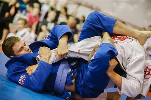 Скрытые преимущества бразильского джиу-джитсу