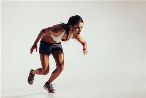 Гормон роста: как он работает и почему у женщин его больше?