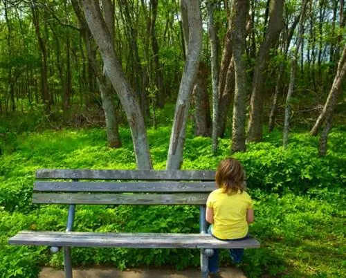 5 учебных уроков, извлеченных из моего несносного старшего брата