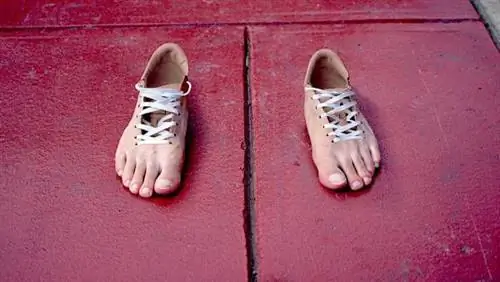 Руководство по правильному выбору обуви для спортсменов