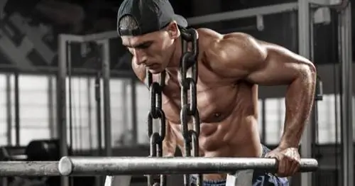 BCAA неэффективны в отдельности