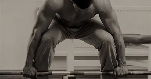 Современные мифы о наращивании мышечной массы