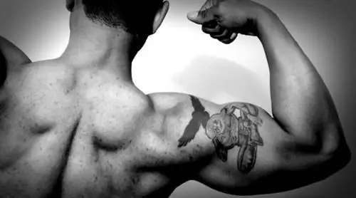 Зарабатывайте как новичок: новинка и гипертрофия