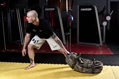 мешки с песком, тренировки с мешками с песком, Мэтт Палфри, Мэтью Палфри, тренировки с мешками с песком