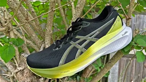 Asics Гель-Каяно 30 Asics Гель-Каяно 30