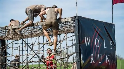 wolf_run_spring wolf_run_spring