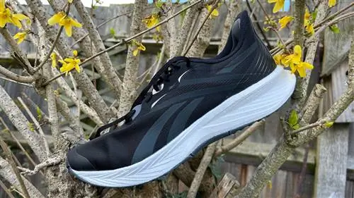 Кроссовки Reebok Floatride Energy 5