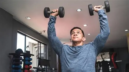 Чтобы накачать мышцы верхней части тела, вам понадобится всего два упражнения и две гантели