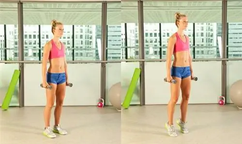 упражнения