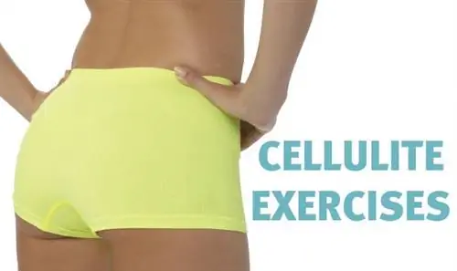 тренировки