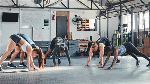 Группа людей разминается в тренажерном зале с выгулом собаки вниз