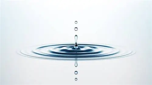 осознанное питание