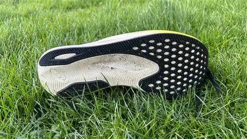 Подошва кроссовок Asics Magic Speed 2 Подошва кроссовок Asics Magic Speed 2