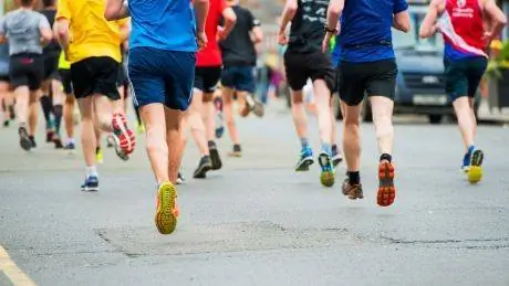 Планы тренировок