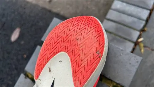 Износ подошвы кроссовок Altra Vanish Carbon Износ подошвы кроссовок Altra Vanish Carbon