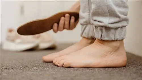 Вид сбоку на ноги