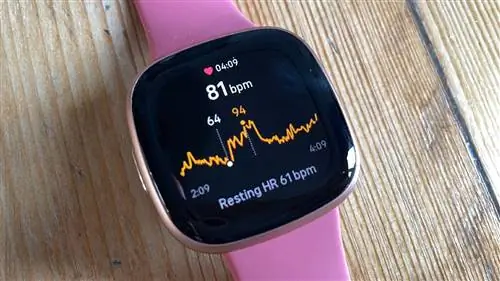 Экран сердечного ритма Fitbit Versa 4