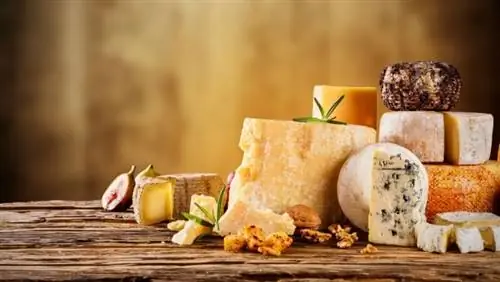 Полезен ли сыр?