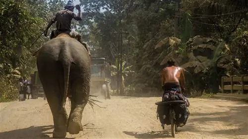 побег-на-велосипеде-извлечение-обложки-изображения