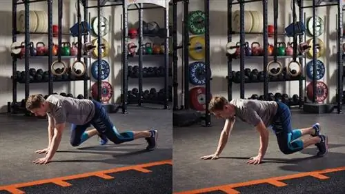 Медведь ползет