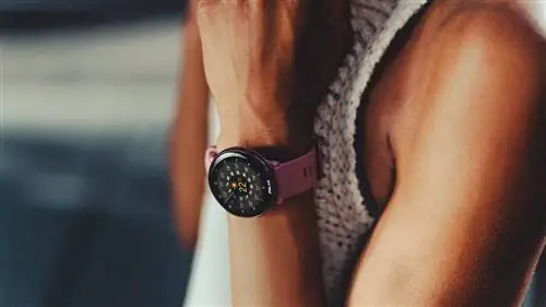 Пять интересных фактов о Polar Ignite 3