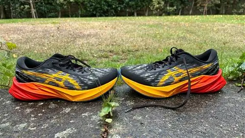 Кроссовки Asics Novablast 3 на стене