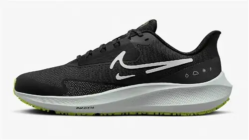 Nike Air Zoom Pegasus 39 Shield, лучшие кроссовки для зимнего бега Nike Air Zoom Pegasus 39 Shield, лучшие кроссовки для зимнего бега