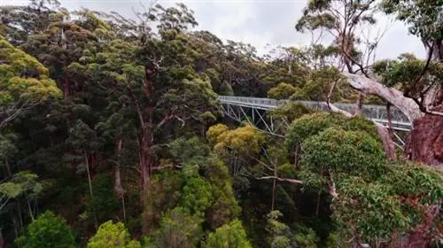 Walking_holidays_bibbulman_track_australia