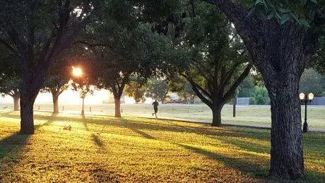 16-недельный план тренировок для начинающих на 10 км