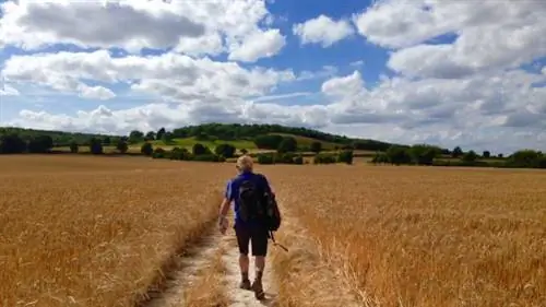 Билл-Бейли-Уокинг