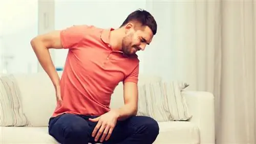 Упражнения могут снизить риск хронической боли в спине на 16%