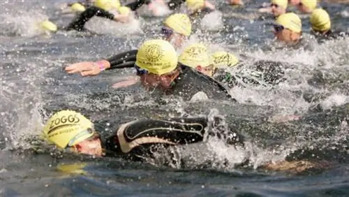 трекер активности