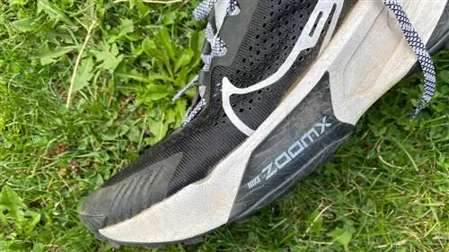 Найк ZoomX Зегама