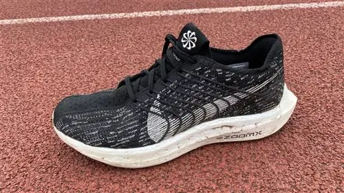Обзор Nike Pegasus Turbo Next Nature