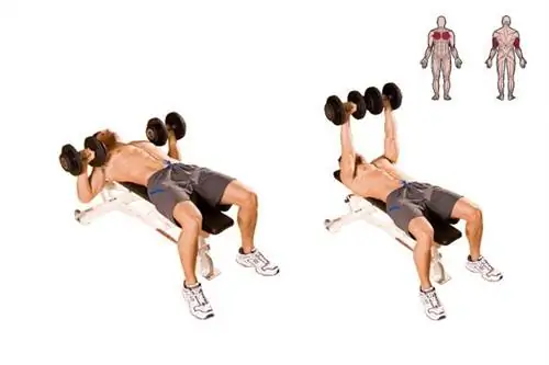 Жим гантелей лежа