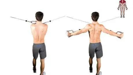 Высокая тросовая обратная муха