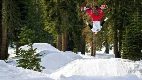 тренировки