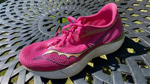 Saucony Эндорфин Про 3