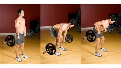 Три этапа румынской становой тяги в упражнении на гребле