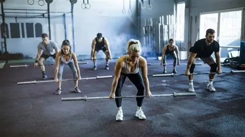 Как выполнять румынскую становую тягу при гребле