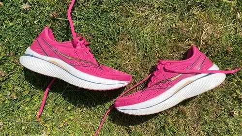 Обзор Saucony Endorphin Speed 3